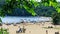 Lac-Simon, Quebec, Canada â€“ July 29, 2018: People enjoy a sunny day on the beach of lake. Going to a beach of Lac-Simon for a s