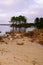 Lacanau lake sand beach with single dog