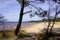 Lacanau sand wild beach with calm water in medoc gironde france