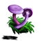 Laccaria amethystina amethyst deceiver, colored mushroom, grows in coniferous forests. Digital art illustration, natural