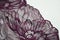 Lace element for finishing clothes, lingerie. Beautiful dark plum lacy background