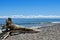 Laconic Baikal landscape. Old larch turner on pebbles