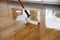 Lacquering wood floors. Worker uses a roller to coating floors