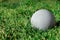 Lacrosse Ball