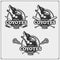 Lacrosse, baseball and hockey logos and labels. Sport club emblems with coyote.