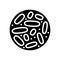lactobacillus probiotics glyph icon vector illustration