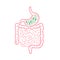 Lactobacillus Probiotics Icon. Normal gram-positive anaerobic microflora sign.