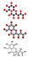 Lactobionic acid (lactobionate) molecule. Stylized 2D renderings and conventional skeletal formula. Commonly used additive in food