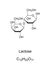 Lactose, milk sugar, chemical structure and formula