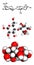 Lactose (milk sugar) molecule