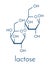 Lactose milk sugar molecule. Skeletal formula.