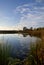 Lacy Clouds Reflected In Pond