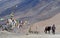 Ladakhi man with horse