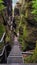 Ladder ascent through narrow damp mossy rocky gorge, Saxony, Germany