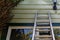 A ladder is leaning against the wall of a green weatherboard house