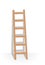 Ladder Leaning Against Wall White Background