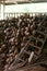 Ladder and mountain of coconuts and shells in a hut