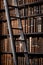 Ladder and old books on shelves in Long Room