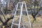 Ladder in open air yard in village