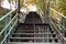 Ladder in park. Wooden steps going up among trees. Climbing stairs in fresh air, early autumn