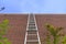 Ladder red brick wall freedom concept aspirations goals motivation success business opportunity blue sky