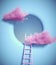 Ladder to a hole in a wall and pink clouds