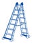 Ladder Vector
