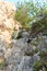 Ladder of Via ferrata near Riva del Garda, Italy