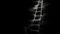 Ladder Webs: A Bold And Spooky Net Art Creation