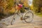 Ladies bike with a bouquet of flowers