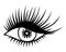 Ladies eye. The eyelid is half closed. Seductive look. Eye iris, pupil, lush black eyelashes. Sketch