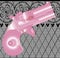 Ladies Gun