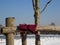 Ladies hand gloves - Maroon/Burgundy colour - hung on wooden fence in snow laden grounds