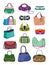 Ladies` handbags set