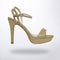 ladies high heel sandal for classy look isolated