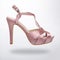 ladies high heel sandal for classy look isolated