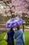 Ladies with umbrella standind near blooming sakura cherry tree