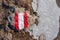 Ladinger Spitze - Frozen water pond next to directional path mark with Austrian flag on rock near Ladinger Spitze