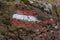 Ladinger Spitzz - Path mark with Austrian flag painted on a rock in a scenic forest near Ladinger Spitz, Saualpe, Carinthia