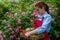 Lady admires blooming rose on a sunny day.