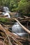 lady barron waterfall over some water in tasmania