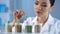 Lady biochemist analyzing pea grain organic food inspection nutrition properties