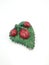 Lady bugs with leaf refrigerator magnet