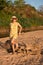 Lady at Cacau Beach in Brazil