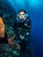 Lady diver and spectacular wall of coral