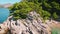 The lady explores rocky beach with green pine trees. Contemplative woman enjoying nature. Aerial view of coastline in