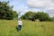 Lady on footpath walking through wild flower area