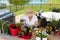 Lady gardener potting up new plants on a patio