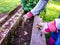 Lady gardener pulling up the weeds