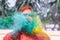 A lady getting showered with holi colours during holi festival in india